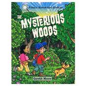 Gareth Moore / Puzzle Adventure Stories: The Mysterious Woods (Children's Picture Book)