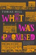 Tobias Hill / What Was Promised (Large Paperback)