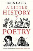 John Carey / A Little History of Poetry (Large Paperback) image