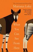 Mariana Leky / What You Can See from Here image