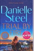 Danielle Steel / Trial by Fire (Large Paperback) image