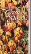 Allen J. Coombes / Trees &amp; Shrubs (Large Paperback) image
