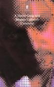 David Greig / Casanova: A Suspect Culture text image