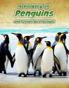 Jilly Hunt / Rookery of Penguins (Children's Coffee Table book) image