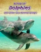 Richard Spilsbury / A Pod of Dolphins and Other Sea Mammal Groups (Children's Coffee Table book) image