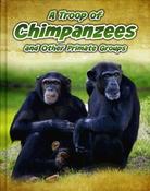 Richard Spilsbury / A Troop of Chimpanzees and Other Primate Groups (Children's Coffee Table book) image