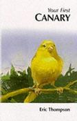 Eric Thompson / Your First Canary(Large Paperback) image