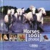 Packages / 1001 Photos Cubebook Horses (Hardback) image