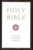 English Standard Version / Holy Bible (Large Paperback) image