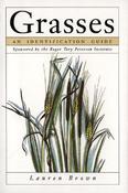 Lauren Brown / Grasses: An Identification Guide (Large Paperback) image