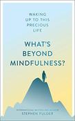 Stephen Fulder / What's Beyond Mindfulness? (Large Paperback) image