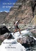 A.J. Bill Bailey / You May Be Good at Something (Large Paperback) image