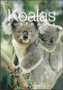 Steve Parish / Koalas Australia (Large Paperback) image