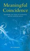 Jan Cederquist / Meaningful Coincidence (Large Paperback) image