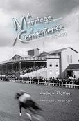 Andrew Plattner / A Marriage of Convenience : Stories (Large Paperback) image