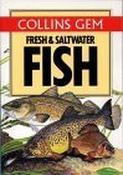 Michael Prichard / Fresh and Saltwater Fish image