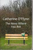 Catherine O'Flynn / The News Where You Are (Large Print) (Hardback) image