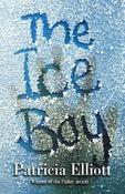 Patricia Elliott / The Ice Boy image