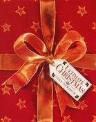 Jane Newdick / The Ultimate Christmas Book (Coffee Table Book) image
