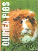 Julie Rach Mancini / Guinea Pigs (Coffee Table Book)
