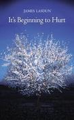 James Lasdun / It's Beginning To Hurt (Hardback)