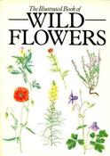 Pamela Bristow / The Illustrated Book of Wild Flowers (Coffee Table Book) image