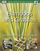 J. Ardle / Bamboos and Grasses: Simple Steps to Success (Coffee Table Book) image