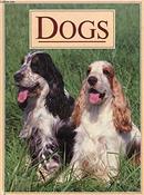 Anna Pollard / Dogs (Coffee Table Book)