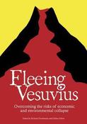 Richard Douthwaite / Fleeing Vesuvius : Overcoming the risks of economic and environmental collapse (Coffee Table Book) image