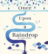James Carter / Once Upon A Raindrop (Coffee Table Book) image