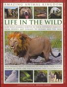 Michael Chinery / Life in the Wild (Coffee Table Book) image