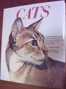 Eugenia Natoli / Cats (Coffee Table Book) image