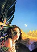 Mark Harrison / Dreamlands (Coffee Table Book) image