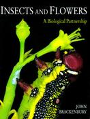 John Brackenbury / Insects and Flowers: A Biological Partnership (Coffee Table Book) image