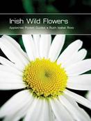 Ruth Isabel Rose - Irish Wild Flowers (Appletree Pocket Guides) - PB - BRAND NEW image