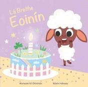 Muireann NÍ Chiobháin &amp; Roisín Hahessy - Lá Breithe Eoinín - HB - As Gaeilge  - BRAND NEW image