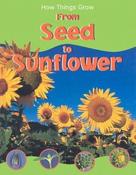 Sally Morgan / From Seed to Sunflower (Children's Picture Book) image