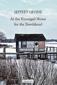 Jeffrey Levine / At the Kinnegad Home for the Bewildered (Salmon Poetry) (Unused)