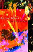 Terence Winch / Lit From Below (Salmon Poetry) (Unused) image