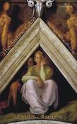 Seamus Cashman / The Sistine Gaze: I too begin with scaffolding (Salmon Poetry) (Unused) image