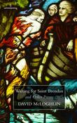 David McLoghlin / Waiting for Saint Brendan and Other Poems (Salmon Poetry) (Unused) image