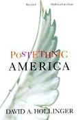 David A. Hollinger / Postethnic America (Hardback) image