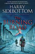 Harry Sidebottom / The Burning Road image