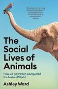 Ashley Ward / The Social Lives of Animals image