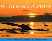 John Birdsall / Whales and Dolphins (Coffee Table Book) image