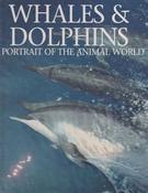 Andrew Cleave / Whales &amp; Dolphins: A Portrait of the Animal World (Coffee Table Book) image