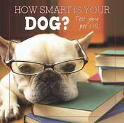 How Smart Is Your Dog?: Test Your Pet's IQ (Coffee Table Book) image