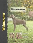 Lavonia Harper / Weimaraner (Coffee Table Book) image