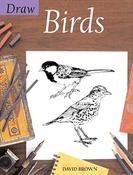 David Brown / Draw Birds (Coffee Table Book) image