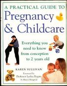 Karen Sullivan / A Practical Guide to Pregnancy and Childcare: Everything You Need to Know from Conception to 2 Years Old (Coffee Table Book) image